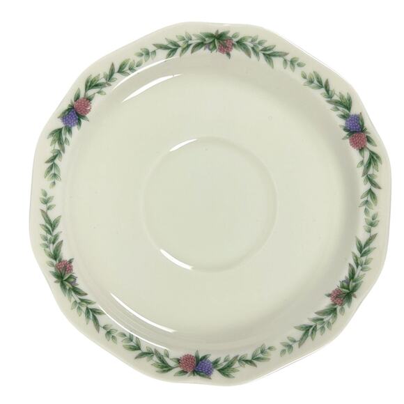 Noritake Conservatory Gala Cuisine 7915 Japan Tea Coffee Cup and Saucer Set! - Picture 6 of 9